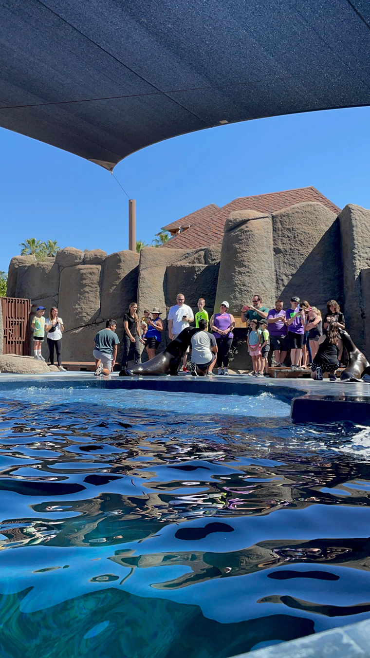 alumni-events-calendar-gcu-alumni